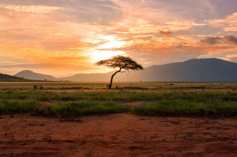 Vibrant African continental free trade and industrial growth corridor